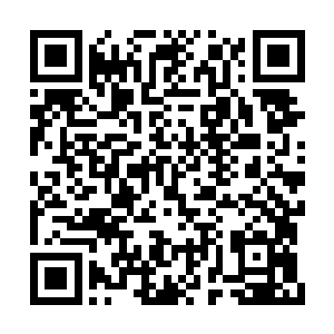 即便是化魂修者一般最多也就拿个二三十万奖励二维码生成