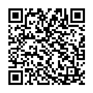 即便是千辛万苦打听到了十殿阎王针对生命之树的计划二维码生成