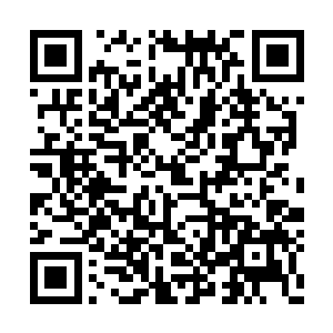 即便是同为十绝王者其他人都摸不出苍王的底细二维码生成