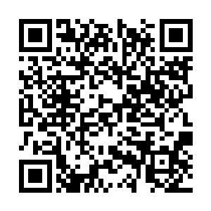 即便是后天大圆满的武者从速度上也很难躲得过去二维码生成