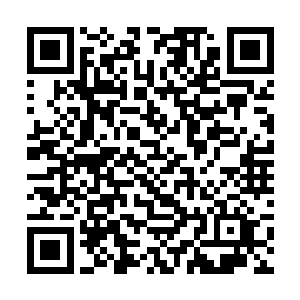 即便是听到了自己的身份之后也仅仅是有些惊讶而已二维码生成