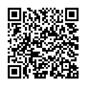 即便是圣界的八大远古家族都不敢打他们灵神家族的主意二维码生成