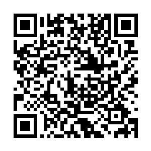 即便是圣皇强者亲至也别想探知结界内发生的事情二维码生成