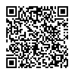 即便是在楼上玩的不亦乐乎的铁手门弟子也都是被这样怪异的嘶吼给惊动了二维码生成
