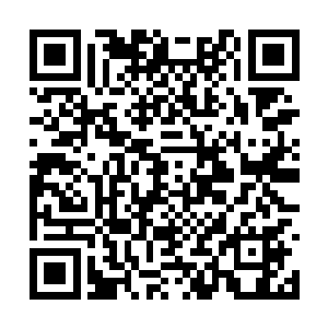 即便是在正式的比赛里陈诚也多次见过这样的画面二维码生成