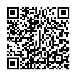 即便是在自己家的疗养院里她的守护力量也仍然没有任何放松二维码生成
