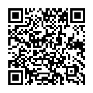 即便是完整实力的心魔分身也抗不住唐劫的这种手段二维码生成