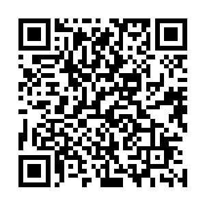 即便是对上一直以来的上单霸主也是最为克制瑞文的大鳄鱼二维码生成