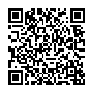 即便是将如天鹤家族这般富有的顶尖势力给耗光二维码生成