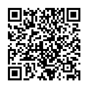 即便是将苏凡放进去也不能让他出现一丁点的意外二维码生成