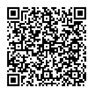 即便是巅峰时期的他也未必能够像镇元子这样将这人参果树的力量利用到这种程度二维码生成