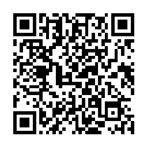 即便是平日里与她三句话都说不到头的粉黛也没有刻意为难二维码生成