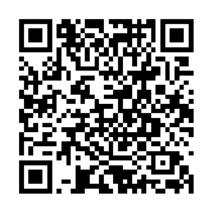 即便是强如楚旬心中也不由得感到一阵巨大的压力二维码生成