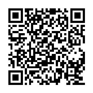 即便是强行炼化也根本就无法发挥出最大的力量二维码生成