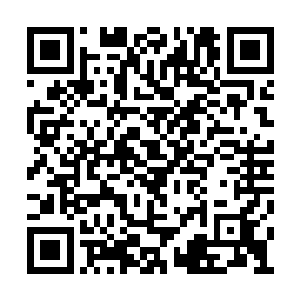 即便是恐爪龙如此强悍的生物也并不能支持多久二维码生成