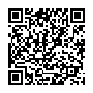 即便是我们四族的所有强者联合起来都不是圣弃界的对手二维码生成