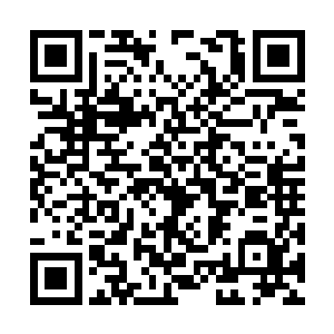 即便是施展望气神通也看不出他们两人的真实面目二维码生成