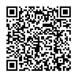 即便是无虚和血狱之主那样的恐怖的存在都绝对发现不了他的存在二维码生成