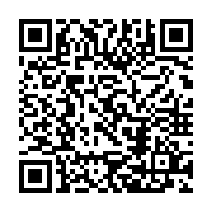 即便是昆仑派的这一座大殿……也没有能够幸免于难二维码生成