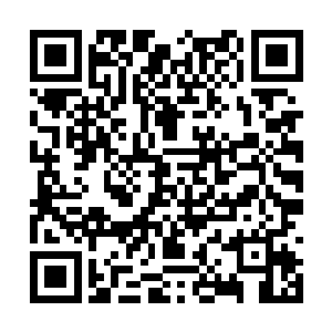 即便是昨天看过林烽对两个特种兵保镖出手的同学二维码生成