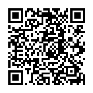 即便是梓箐这个手上已经不知道沾了多少人鲜血和灵魂的二维码生成