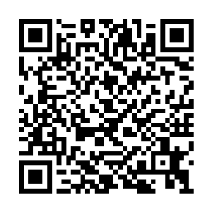 即便是比云二还聪明些的苏轼都不能和他们相比二维码生成