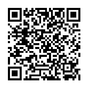 即便是比他强一些的过一会儿都不是他的对手了二维码生成