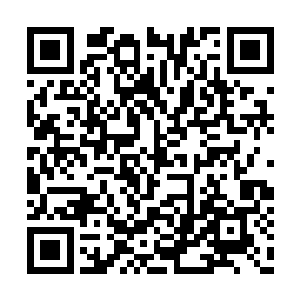 即便是男人们因为各种各样的原因不能猎到食物二维码生成