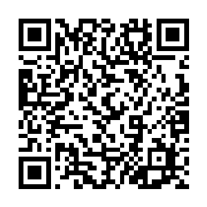 即便是站在后方的寒河老祖都是瞳孔一缩的庞大气势二维码生成