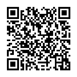 即便是经历了小苍河战争的左文怀都有些承受不了二维码生成