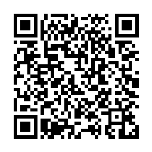 即便是育婴期的修者在暴起发难的情况下都能将其杀死二维码生成