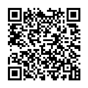 即便是落百川和落不凡父子两联手也很难将他击败二维码生成