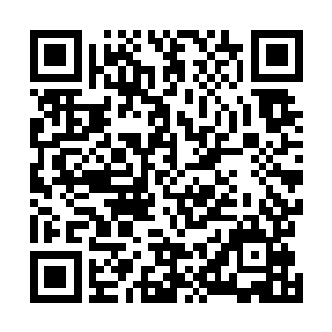 即便是血肉在这混沌之力的冲击之下也受到了巨大的创伤二维码生成
