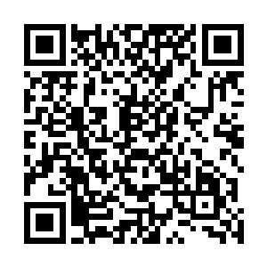 即便是跟施展天幻无极诀的杨戬比起来也绝对是不逊多让二维码生成