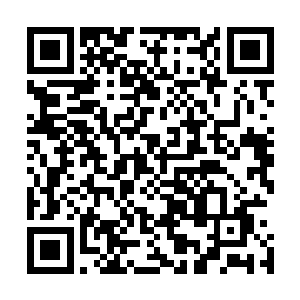 即便是这样她也不可能在四品炼丹师的时候尝试炼制此丹药二维码生成