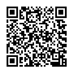 即便是这里名列前茅的大乘期妖兽也难以做到这一点二维码生成