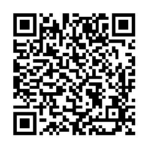 即便是远在边缘还未来得及反应过来的九离神朝神王二维码生成