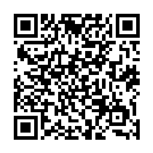 即便是遇到了一般的洞虚境界的高手就算是不死也要重创二维码生成