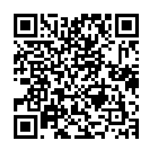 即便是那些妖兽站着不动让自己杀恐怕都不知道要杀到什么时候二维码生成
