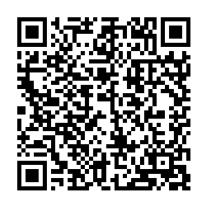 即便是那些宗师级强者也只是依靠着强悍的内息凝练出的一口精纯内气的二维码生成