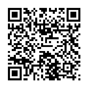 即便是靠丹药或寄生也无法夺舍别人的身躯……也就是说二维码生成