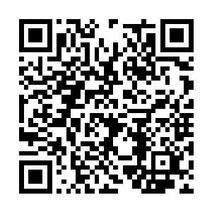 即便是面对这炼虚境界的修士也丝毫没有一点惧意二维码生成