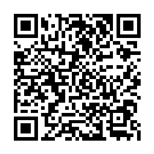 即便最初的一二十个文明不知道终极测试的厉害二维码生成