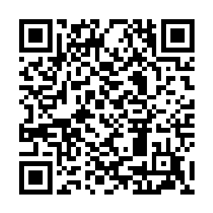 即便最核心处的小行星也在上千年前就被挖得千疮百孔二维码生成