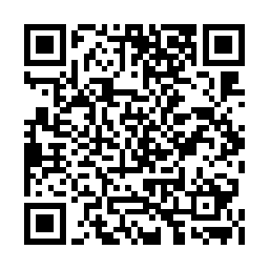 即便杨风这一招很精准的攻击到了自己咽喉部位二维码生成