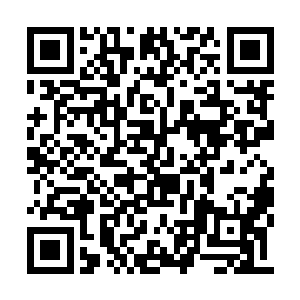 即便林铭有魔帝之铠护体大大的削弱了攻击能量二维码生成