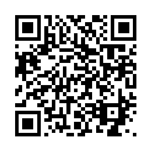 即便现在的沙盗头领们还不够有经验二维码生成