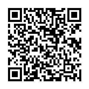 即便留意阮软遇到林安或是听到大家谈论起林安的二维码生成