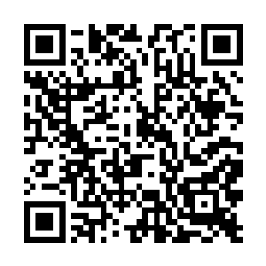 即便白巫族和灵凤打仗输了他都没有出现过这种感觉二维码生成