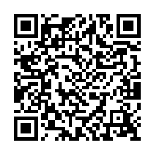 即便目光偶尔扫过帝国人早已腐朽和枯萎的残骸二维码生成